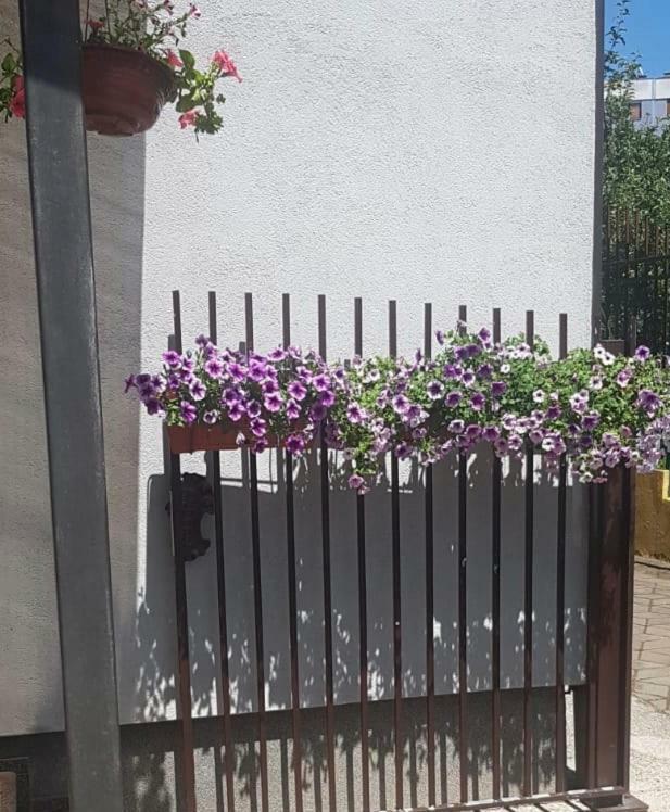 Sun Garden Sarajevo公寓式酒店 外观 照片